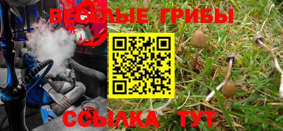 Галлюциногенные грибы GOLDEN TEACHER Назрань