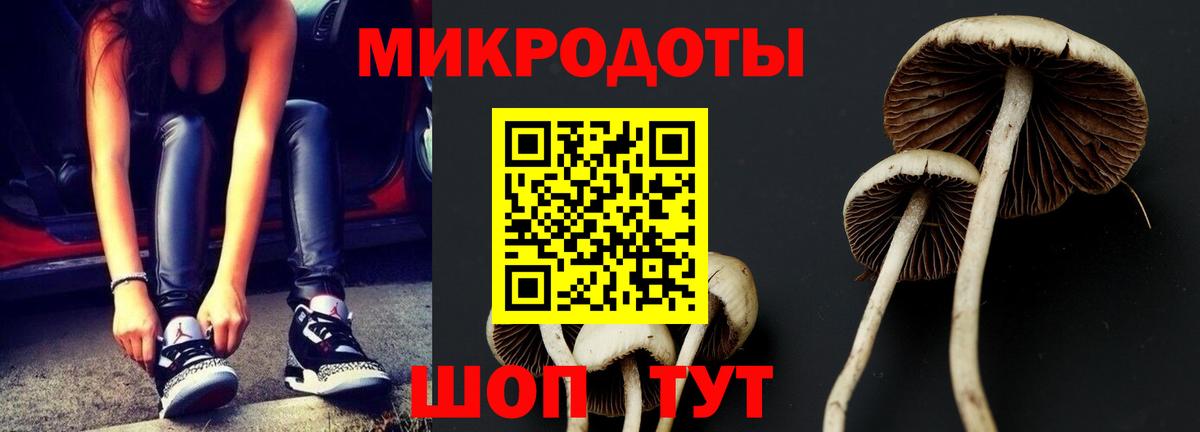 Псилоцибиновые грибы Psilocybine cubensis  Вход с VPN  Назрань 